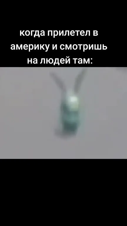 Прилетел в Америку и увидел людей