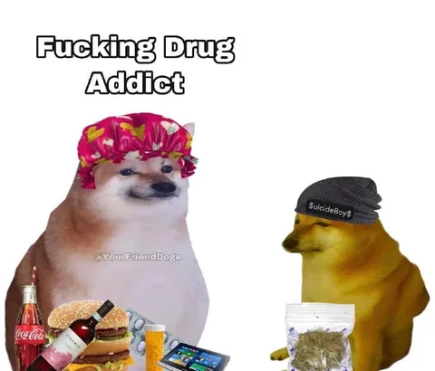 Fucking Drug Addict Doge
