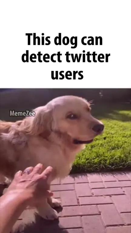 Dog Detects Twitter Users