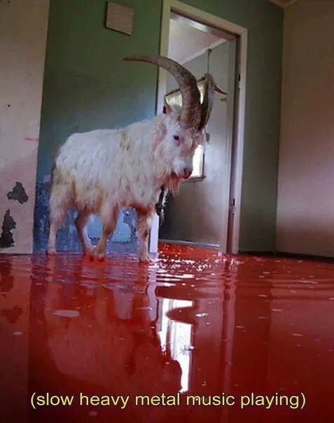 Goat in the Flood