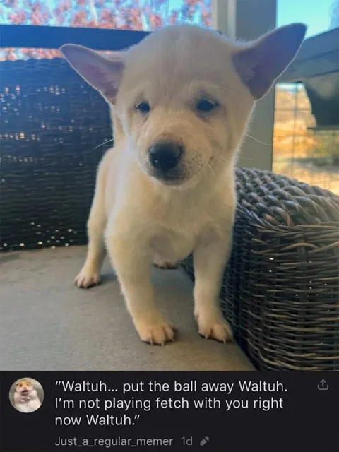 Waltuh, Put the Ball Away