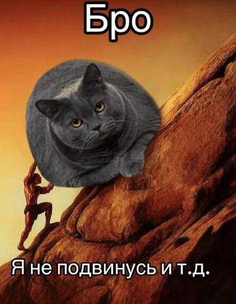 Бро, я не подвинусь