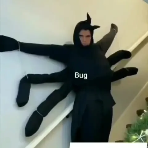 Developer Fights a Bug