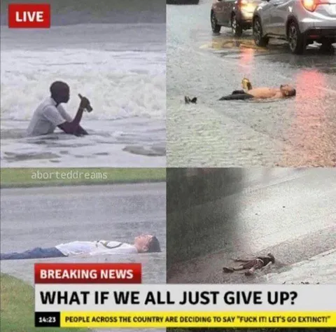 What If We All Just Give Up