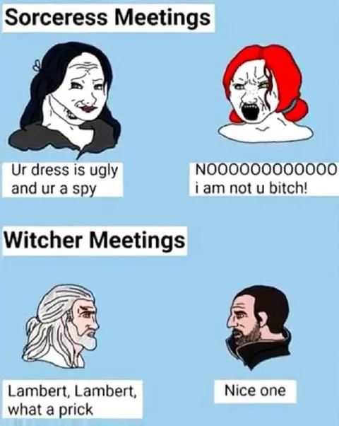 Sorceress Meetings vs Witcher Meetings