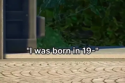 I Was Born in 19 Dinosaur