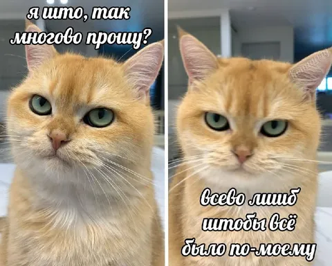 Всего лишь по-моему