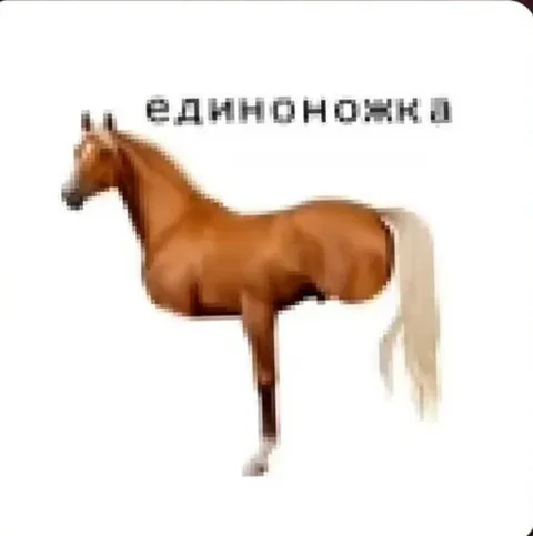 Лошадь с одной ножкой