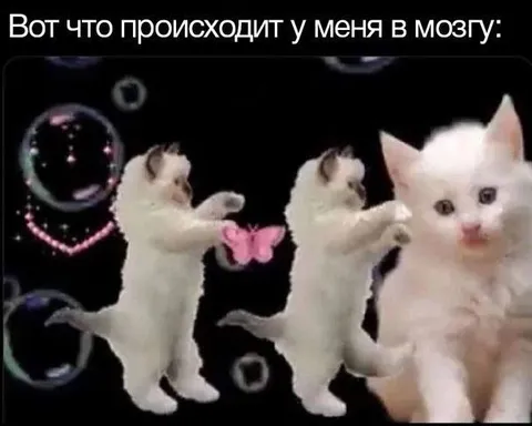 Что происходит у меня в мозгу