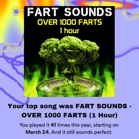Fart Sounds Spotify Wrapped