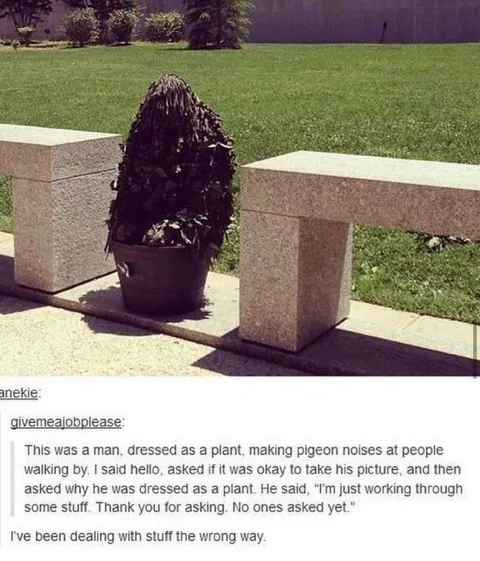 Man Dressed as a Plant