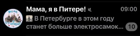 Больше электросамокатов в Петербурге