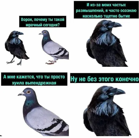 Ворон о смысле бытия