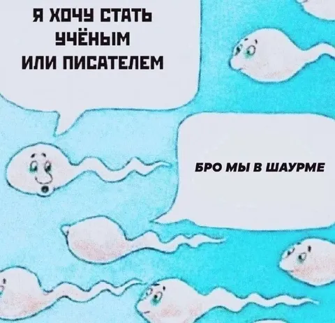Сперматозоиды выбирают профессию