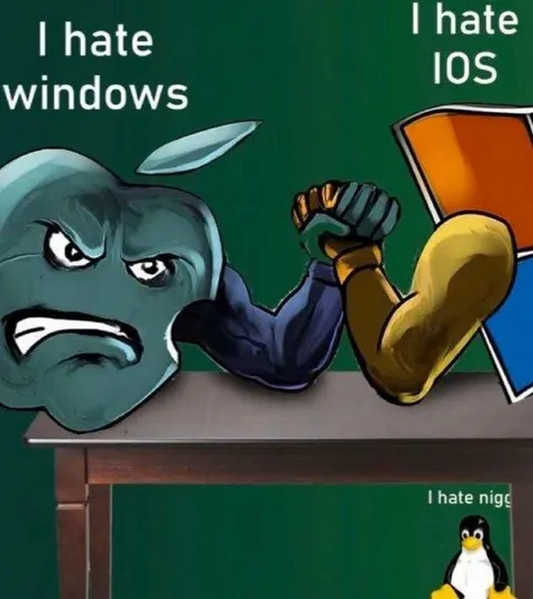 I Hate Every Operating System
