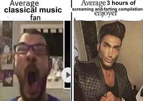 Classical Music Fan vs Compilation Enjoyer