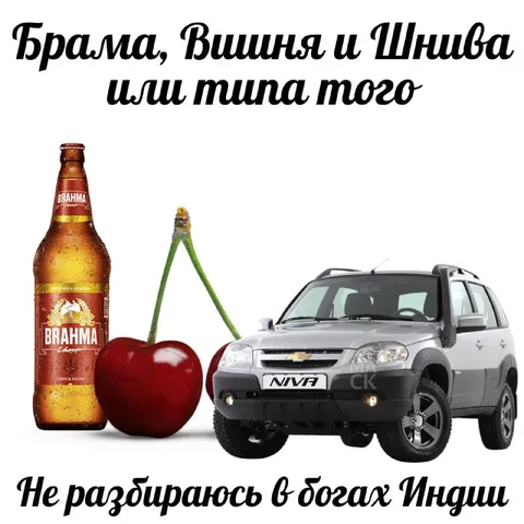 Брама, Вишня и Шнива