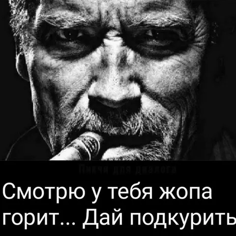 Смотрю, у тебя жопа горит