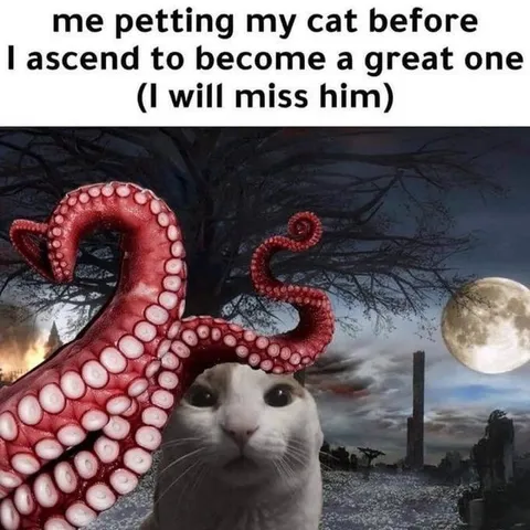 Cat Ascends to Great One