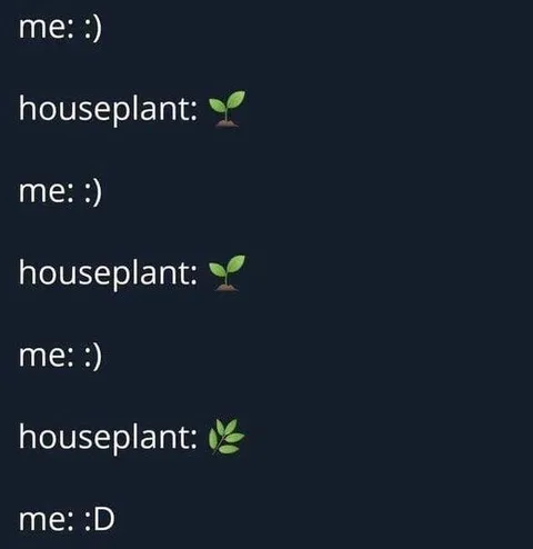 Me and My Houseplant