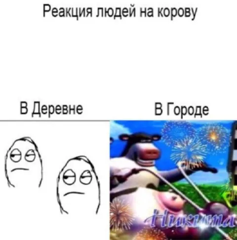 Реакция на корову в городе и деревне