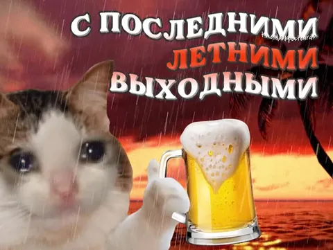С последними летними выходными