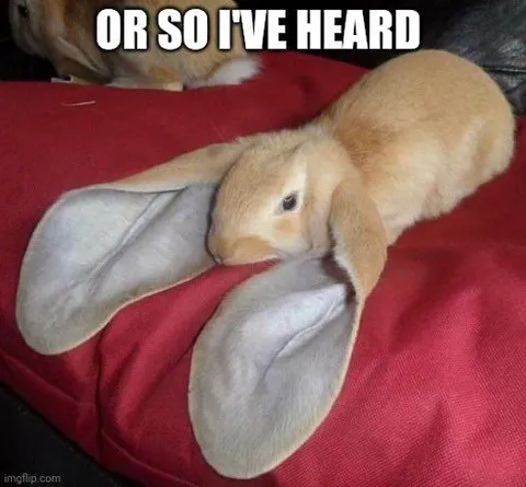 Rabbit Ears Or So I've Heard
