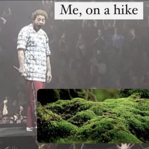 Me on a Hike Enjoying Moss