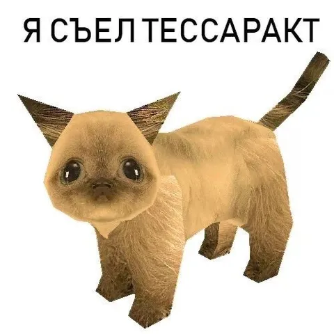 Кот съел тессаракт