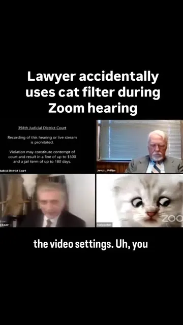 Lawyer Accidentally Uses Cat Filter