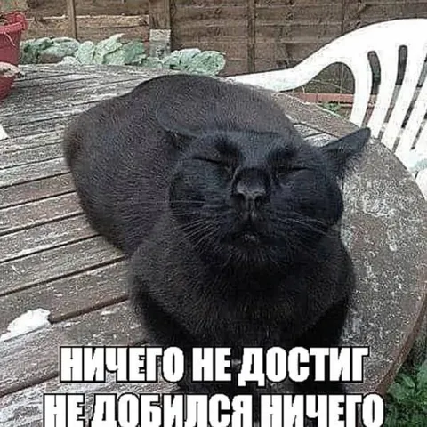 Ничего не достиг и не добился