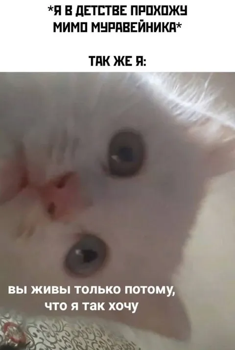 Мима муравейника и белый кот