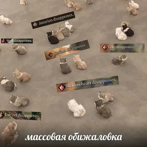 Массовая обижаловка котят