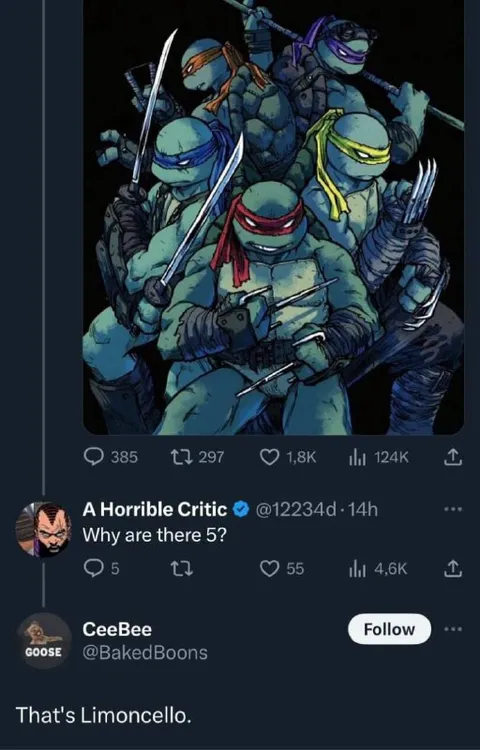 Why Are There Five Turtles?