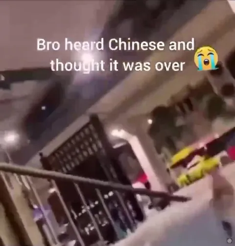 Cat Hears Chinese and Panics