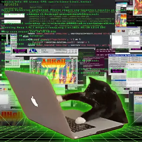 Cyber Cat Hacking on a Laptop