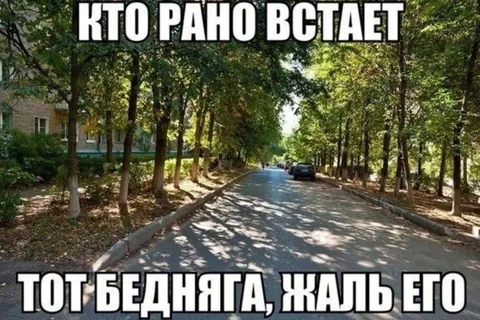 Кто рано встает