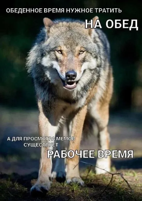 Рабочее время для мемов