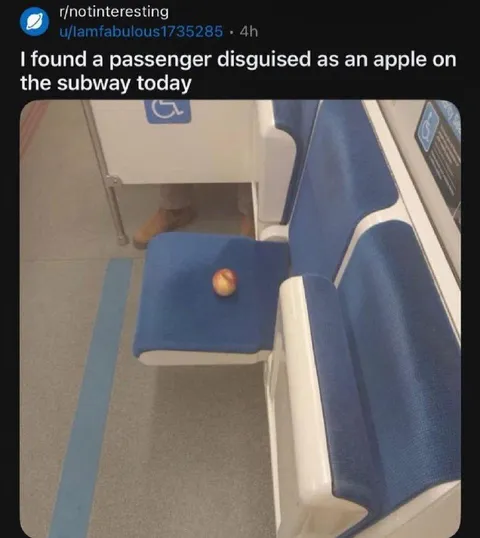 Passenger Disguised as an Apple
