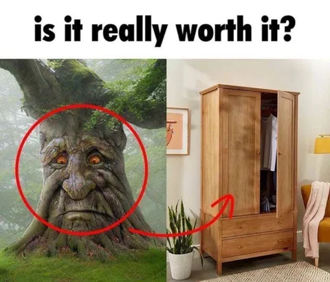 Is It Really Worth It?