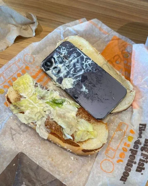 Phone in a Subway Sandwich