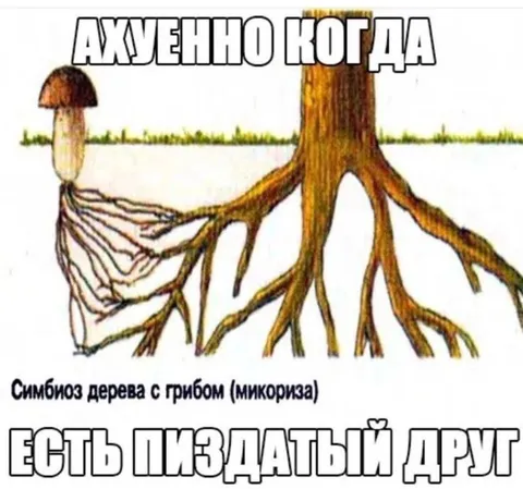 Есть пиздатый друг
