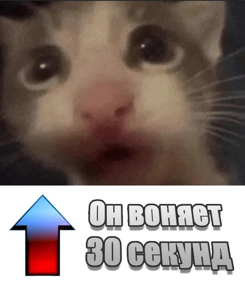 Он воняет 30 секунд