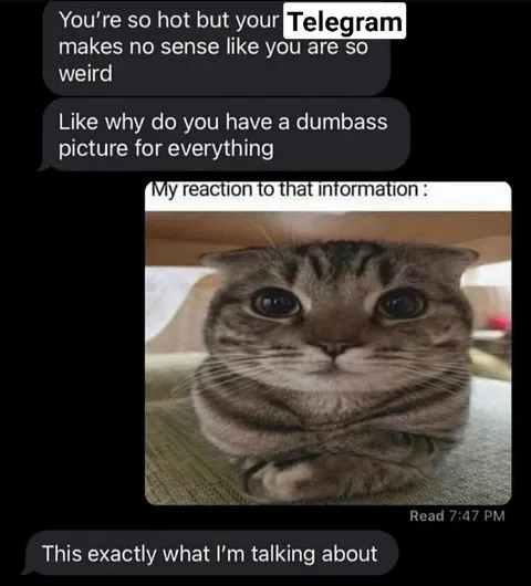 My Reaction to That Information Cat