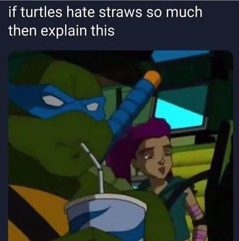 Turtle Drinks Through a Straw