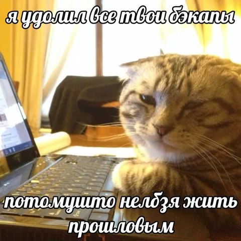 Кот удалил все бэкапы