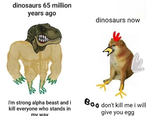 Dinosaurs Then and Now