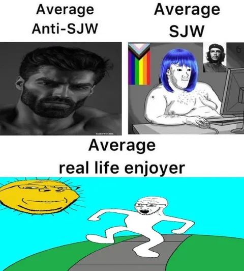 Anti-SJW, SJW and Real Life Enjoyer