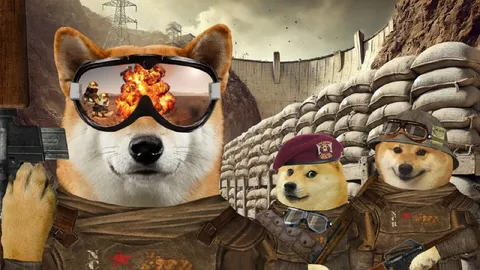 Доги на военной операции