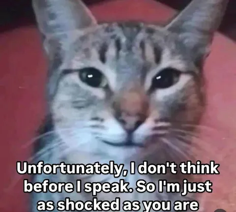 Cat Says Something Shocking